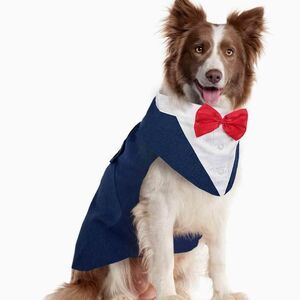 Kuoser Dog Tuxedo Suit and Bandana Wedding Party Suit Prince Wedding Bow tie XL